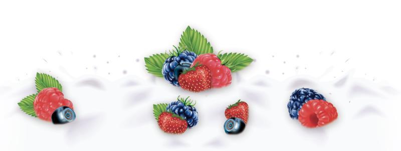 9.3. Izrada donjeg dijela dizajna Krema sa šumskim voćem: Slika 9.3. Izgled donjeg dijela dizajna Freska voćnog jogurta od šumskog voća 9.