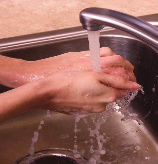 Hand-washing game! Food Safety We should all wash our hands many times a day as a matter of personal hygiene.
