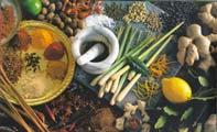 structure) Herbs and Spices General information: Most originated in Asiatic Europe Belong to a diverse taxanomic