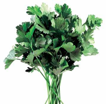 Summer Squash 40 50 F (4 10 C) Parsley Storing Tips: Cut away a small portion from the stem. Immerse in tepid water for 5 minutes.
