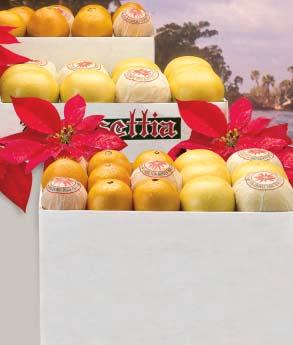 We take great pride in every gift we send, every piece of fruit we pick and every