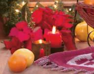 See Page 11 POINSETTIA S HOLIDAY SPECIAL Our Holiday Special Comes With A FREE Gift Of