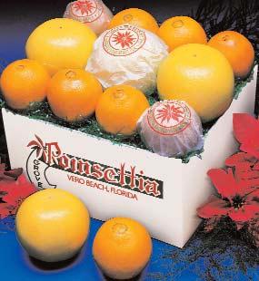 They include Navel Oranges, Ruby Red Grapefruit, Belgian Chocolates, Holiday Candies, Shortbread and Orange Blossom Honey.
