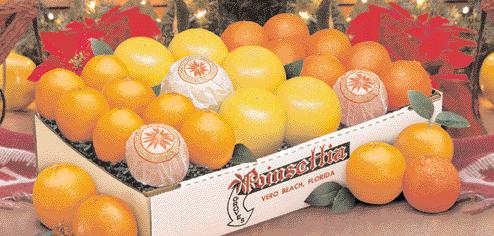 Always A Favorite! *After January, when Navels are no longer available we ll send our best of season Oranges. HOLIDAY GIFT TRIO Taking Flavor To The Limit!