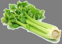 Celery, fresh Sticks Ready-to-use (½-inch by 4-inch) Unit, Portion: 7.0 Servings: 14.