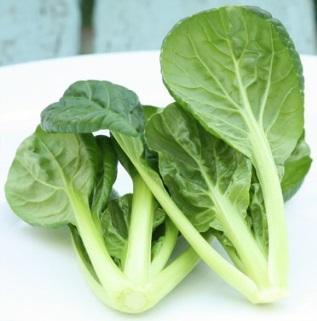 Other Brassica, cabbage-like crops