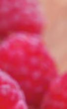 Local and Seasonal Berries Sliced Fruit Plate $14 V Honeydew, Kiwi, Cantaloupe, Pineapple, Watermelon, Orange Grapefruit $10