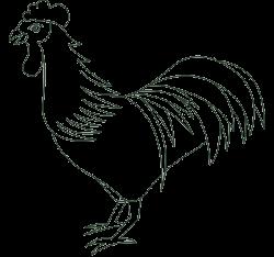 Chicken ~ Poultry Chicken Kabob (Koto'poulo Souvlaki) 17.