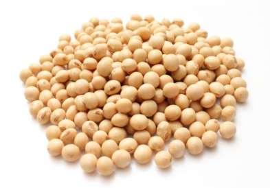Soy Soybean allergy is one of the more common food allergies, especially among babies and children, but it is often outgrown. Allergic reactions to soy are typically mild.