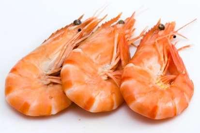 Allergen is mostly Tropomyosin, a protein responsible for muscle contractions Crustaceae Main Allergen(s)Shrimp (Pen a 1), Craps (Cha f 1),