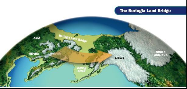 Crossed the Bering Strait during the