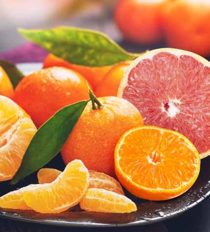 Many wait all year to enjoy what is often described as Florida s best eating Orange. Available February Only! Temple Temples & Pack Pack Oranges Ruby Reds size Price #0T #0RT 4 Bushel $4.