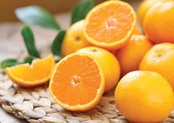 99 #40U Bushel $75.99 Florida Tangerines & Navels A Festive New Tradition!