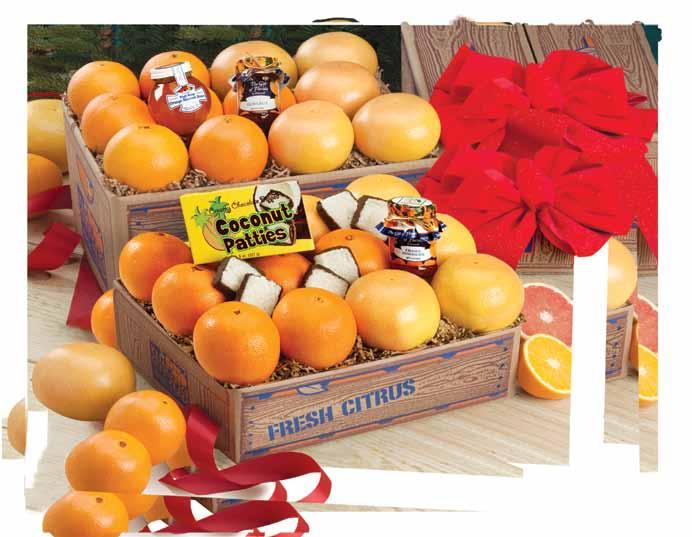 Florida Rainbow Navel Oranges Tangerines Tangelos Ruby Red Grapefruit A citrus grove is full of many distinctive flavors.