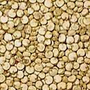 Quinoa Classification: Pseudocereal Grain Family: Amaranthaceae, Subfamily: Chenopodiodeae Genus Species: Chenopodium quinoa a relative of swiss