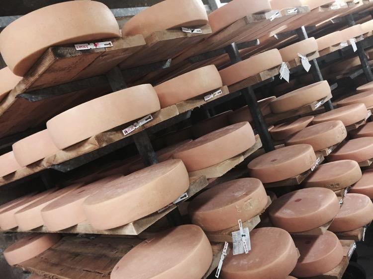 Wide range of cheeses that require specific aging environments All milking practices designed to make Winnimere Staff