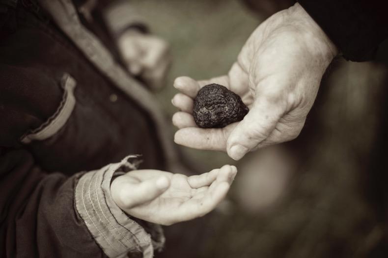 to pass down. Offering a truffle tree is a unique gift. It will last 20 years or more and the production is naturally exceptional.