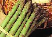 Package of 8 roots. $7.99 4002 Asparagus Roots Jersey Giant. An improved strain of Mary Washington Asparagus, with more uniform spears. More rust and disease resistant. All male hybrid.
