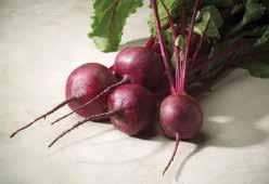 Does not bleed like other beets. Pkt. (75 seeds) $2.25, 10 g $8.50, 25 g $17.95 117 Detroit Dark Red. (52 days) Very heavy yielder of round roots with dark red flesh and darker veins.
