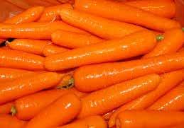 Improved beta carotene content. Definitely a better carrot. Pkt. (250 seeds) $1.95, 10 g $8.50, 25 g $18.95, 100 g $72.00 1583 Samantha. (60 days) Baby carrots 20 cm (8 ) long.