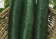 (48 days) Blocky white spined pickling cucumbers with a dark green skin. Best used at 7 to 12 cm (3 to 5 ) long. More disease resistance than others. Pkt. (25 seeds) $1.95, 200 seeds $8.