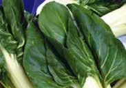 Very nutritious. Pkt. (75 seeds) $1.50, 500 seeds $10.45, 1000 seeds $14.95 3316 Barese. (28 days) Baby leaf chard. Glossy dark green leafs with a slight curled edge and white stalks.