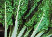 95, 400 g $22.95 Swiss Chard Lucullus 327 Rhubarb. (58 days) Wavy green leaves with crimson veins, on scarlet red stalks. Very sweet. Pkt. (100 seeds) $1.75, 25 g $5.95, 100 g $11.95, 400 g $22.95 329 Bright Lights.