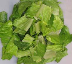 of PAL (lettuces & vegs)