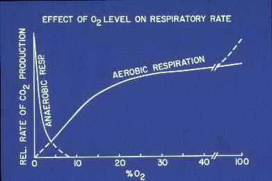 Effect of O2 on Respiration Often lower O2