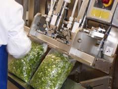 quality cutting romaine by hand; eliminate defects manually