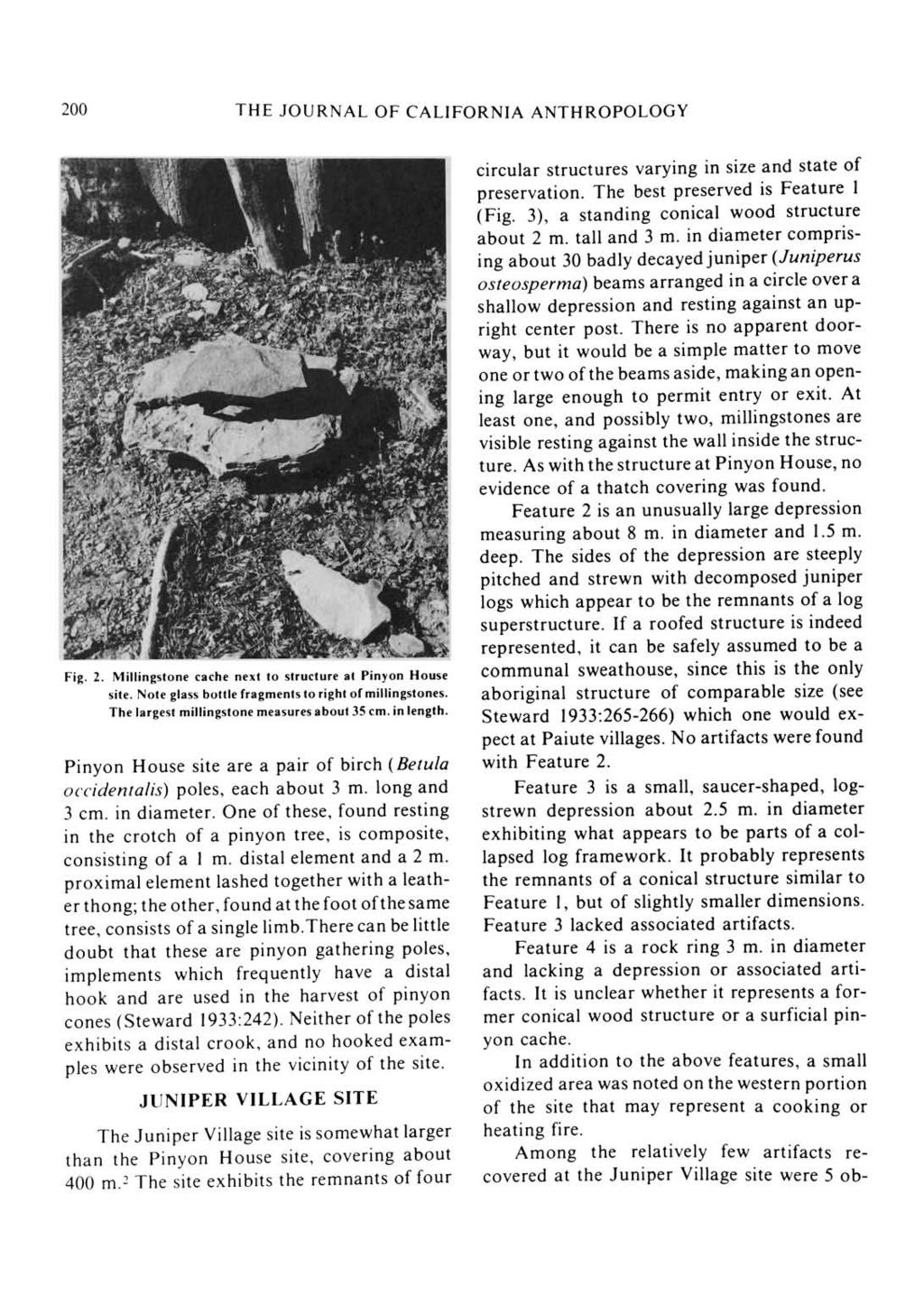 200 THE JOURNAL OF CALIFORNIA ANTHROPOLOGY Fig. 2. Millingstone cache next to structure at Pinyon House site. Note glass bottle fragments to right of miliingstones.