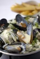 CREAMY MUSSELS, BRUSSELS STYLE Mondays and Tuesdays, 16:00 to 23:30 The famous mussels prepared Brussels style are a must try. It is delicious and it is unlimited.