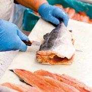 the production of Brisling sardines, Kipper