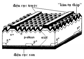PIN MẶT TRỜI SOLAR CELL I. Sơ lượt pin mặt trời Năm 1946, Russell Ohl được xem là người chế tạo ra PMT đầu tiên.