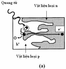 Hình : (a) Tiến trình phân ly của cặp lỗ trống - điện tử (h + và e - ) tại mặt chuyển tiếp giữa vật liệu p và n.