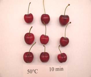 Effects of Hot Water on Attributes of Cherry Quality Fruit Firmness Color Change Soluble Solids Content Titratable Acidity No Significant Effects were Found on these attributes Maximum Time (min) in