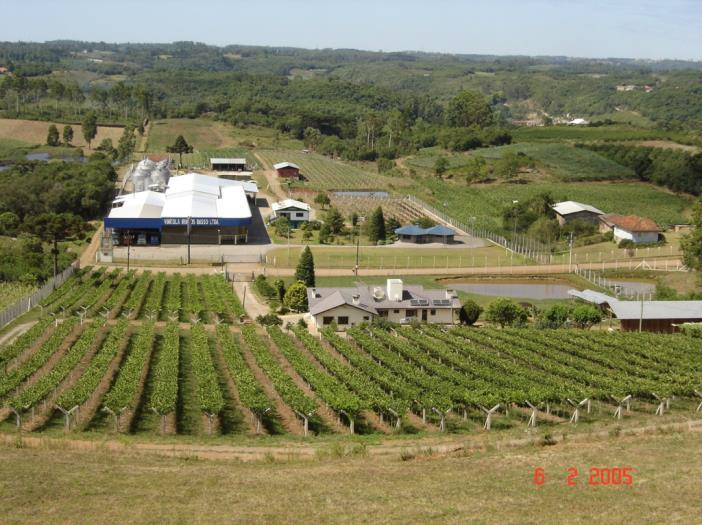 BRAZIL Basso wines - Serra Gaucha RS Located in the Serra Gaucha, in the southern state of Rio Grande do Sul, near to the town of Farroupilha - famous for its sparkling Moscatel.