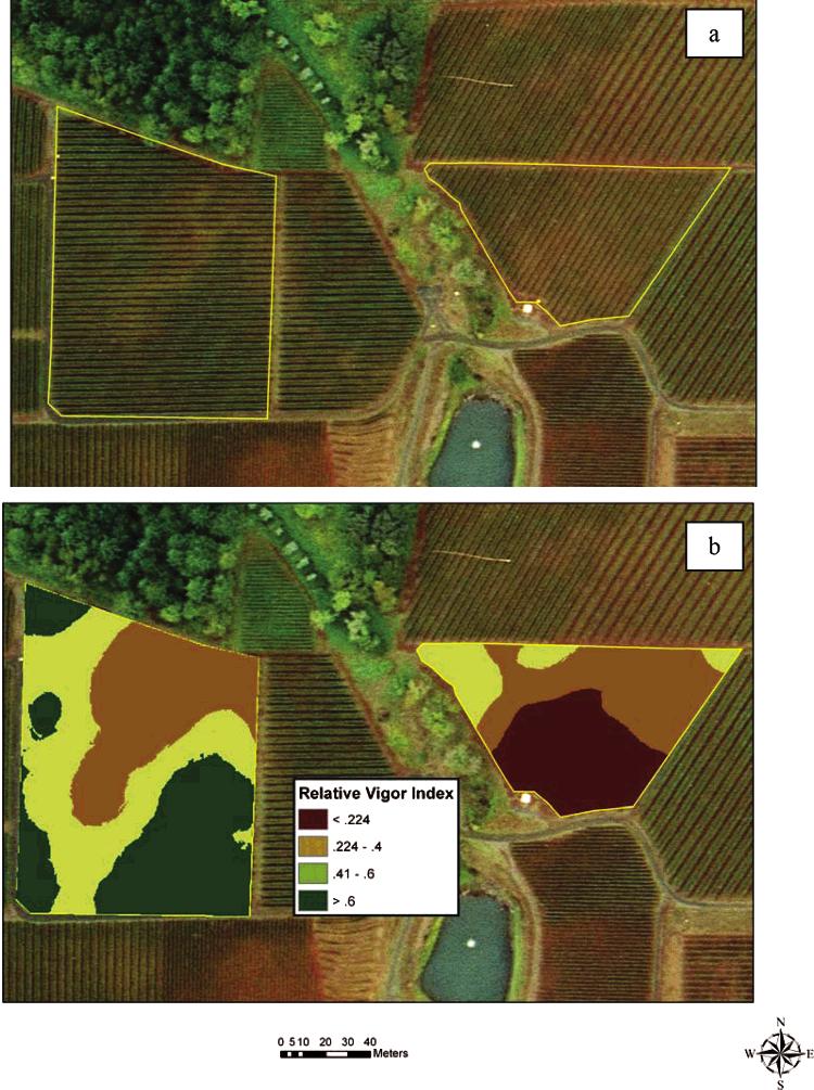 5800 J. Agric. Food Chem., Vol. 53, No. 14, 2005 Cortell et al. Figure 2. High-resolution image of the study site with A (west) and B (east) highlighted (a) and vine vigor index variation (b).