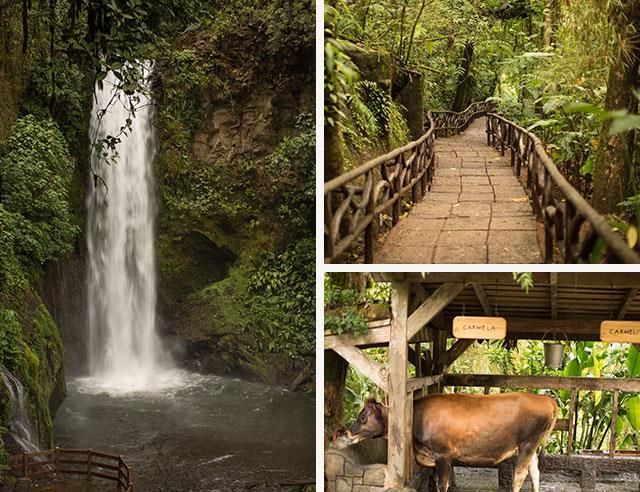 Optional Excursions Volcano Poas & La Paz Waterfall Excursion - $85* Located on the rolling slopes of the Poás Volcano just an hour away from San