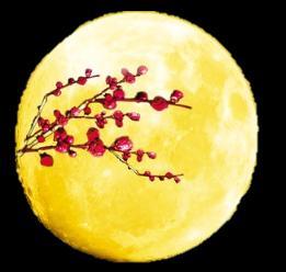 Enjoying the Full Moon The moon on the 15 th day of the eighth month in Chinese lunar calendar is considered most beautiful in a year.