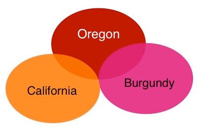 2. How can we speak of defining characteristics for the more than 1,000 Pinot noirs made in Oregon each year?