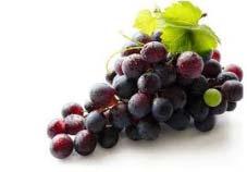 in total fruit berry compounds translates to an increase in berry related sensory
