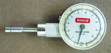 measuring pulp firmness.