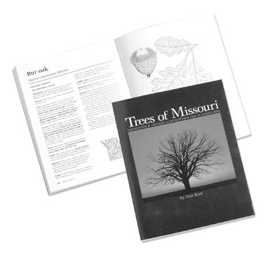 Appendix C: Additional resources A Key to Missouri Trees in Winter: An Identification Guide. Jerry Cliburn and Ginny Wallace. 1990. Missouri Department of Conservation. Trees of Missouri. Don Kurz.