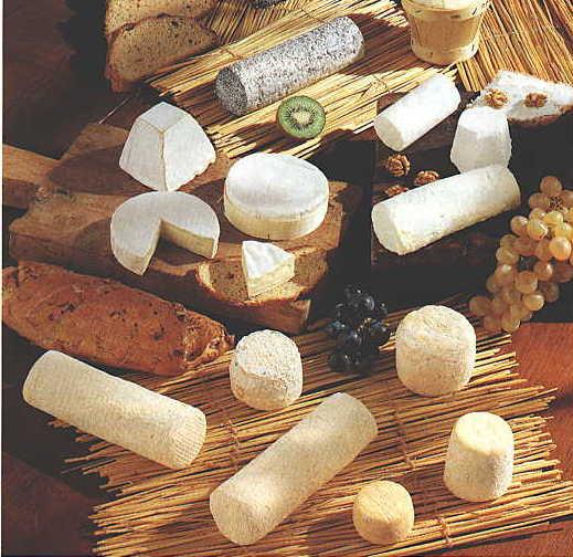 HOW TO MAKE GOAT MILK CHEESES Different varieties of high quality French soft goat milk cheeses.