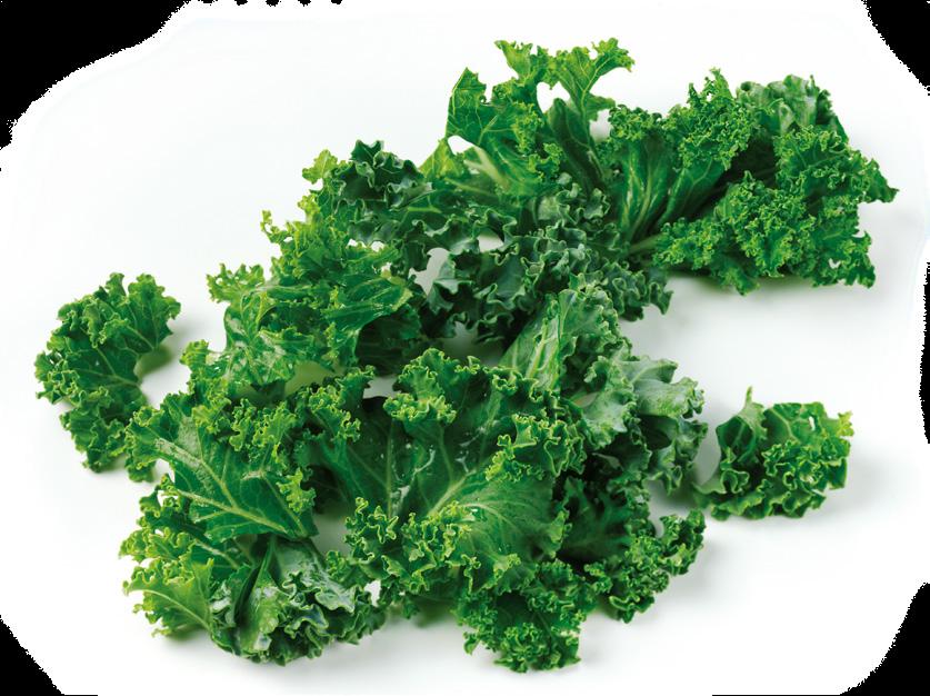The Kale Fan Club Good nutrition is important for both general health and eye health.