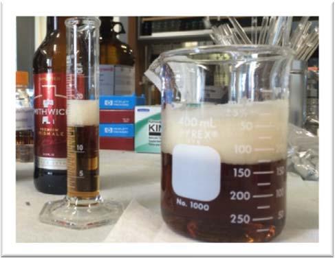 Analytical Method (Beer) Developed and validated method in conjunction with Dr.