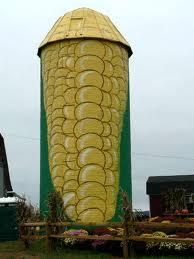 kernel of corn in a silo