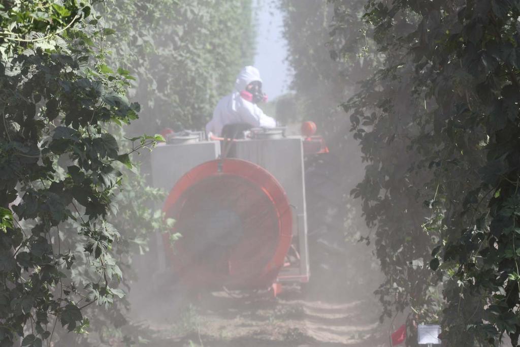 Most pesticides were applied with our airblast sprayer in 90 gallons per acre water carrier. Pesticides selected were among the suspect pesticides.