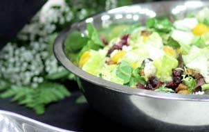 Salad Selections prepared with our home made dressings Small (Feeds 8-12) $30.00 Large (Feeds 15-20) $50.